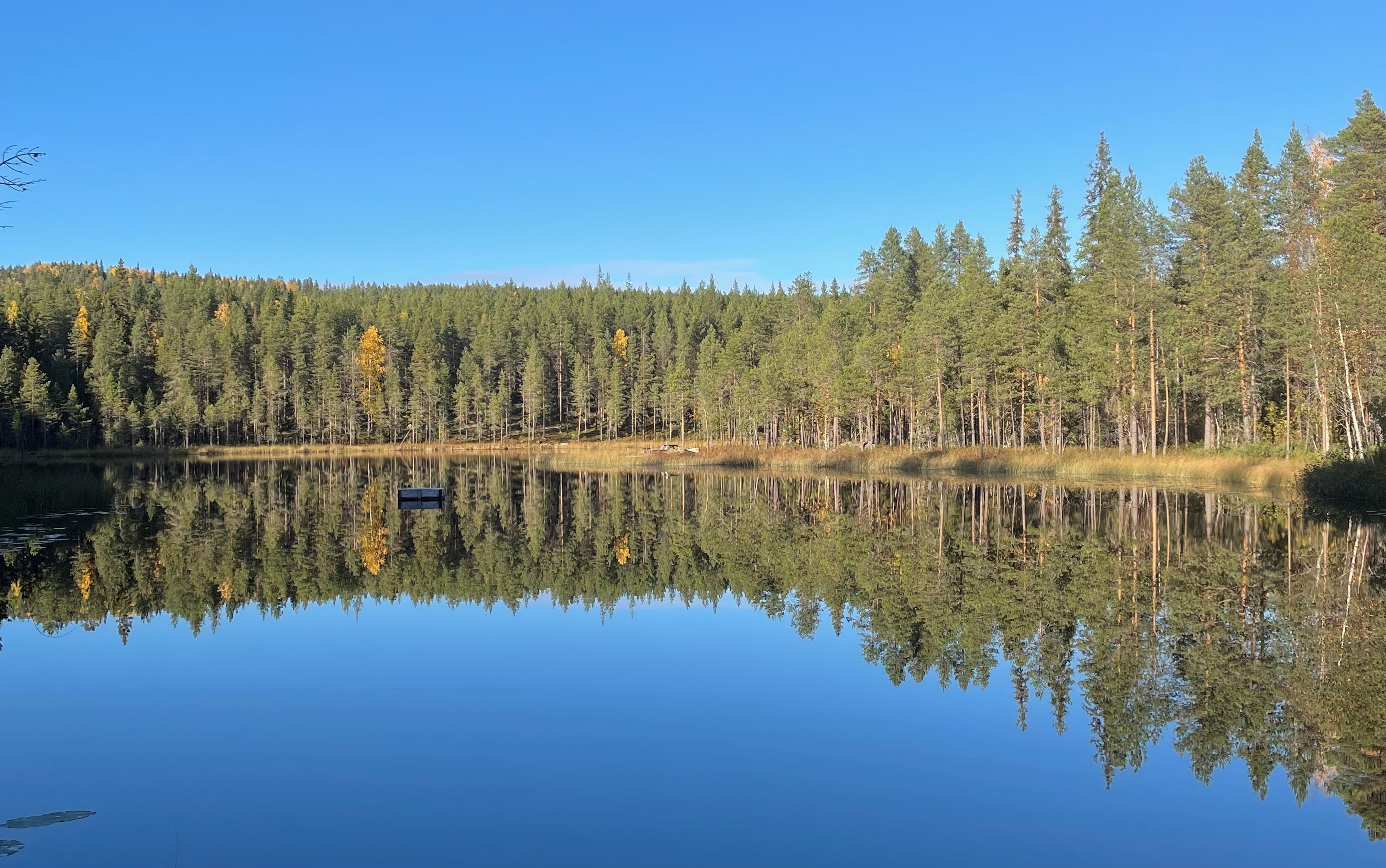 Bild från Långtjärn